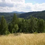 度假居 Halinowka - Twoje Miejsce W Gorach Sowich Pieszyce