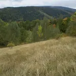 度假居 Halinowka - Twoje Miejsce W Gorach Sowich Pieszyce