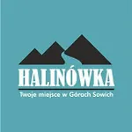 Halinowka - Twoje Miejsce W Gorach Sowich 度假居