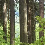 Halinowka - Twoje Miejsce W Gorach Sowich Pieszyce