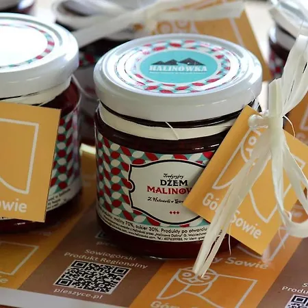 別荘 Halinowka - Twoje Miejsce W Gorach Sowich ピエシツェ