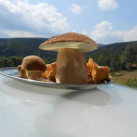 Halinowka - Twoje Miejsce W Gorach Sowich Feriehus Pieszyce