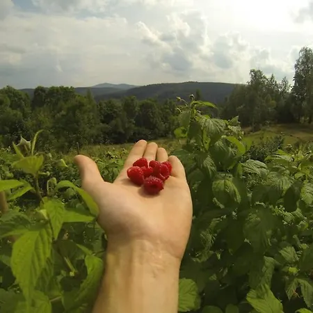 Halinowka - Twoje Miejsce W Gorach Sowich * Pieszyce