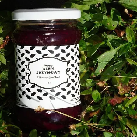 別荘 Halinowka - Twoje Miejsce W Gorach Sowich ピエシツェ