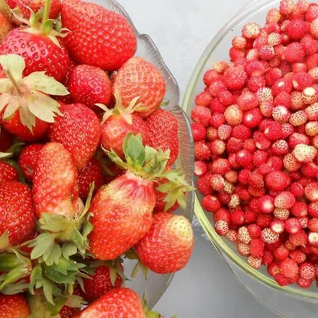 Halinowka - Twoje Miejsce W Gorach Sowich