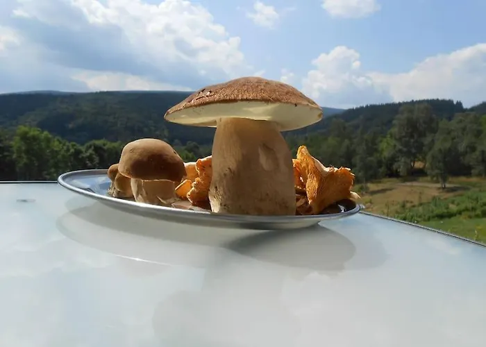 Halinowka - Twoje Miejsce W Gorach Sowich Feriehus Pieszyce