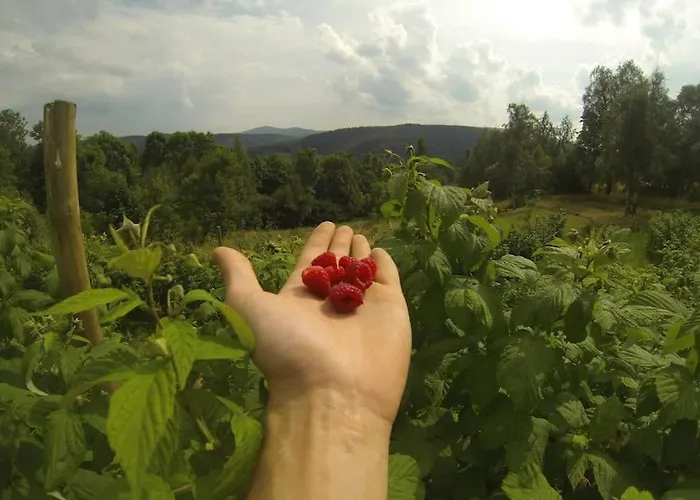 Halinowka - Twoje Miejsce W Gorach Sowich * Pieszyce