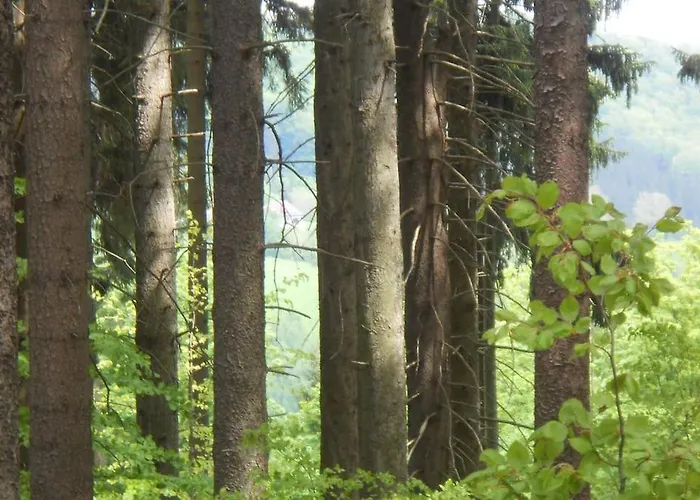 Halinowka - Twoje Miejsce W Gorach Sowich Pieszyce