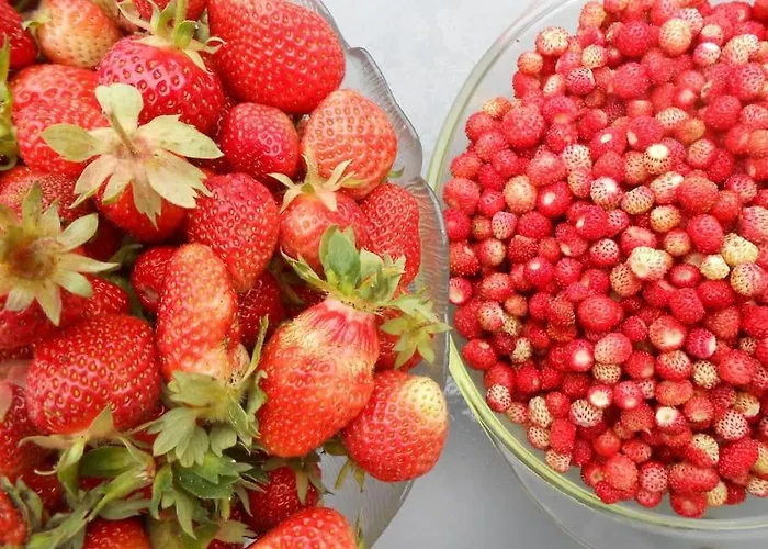 Halinowka - Twoje Miejsce W Gorach Sowich