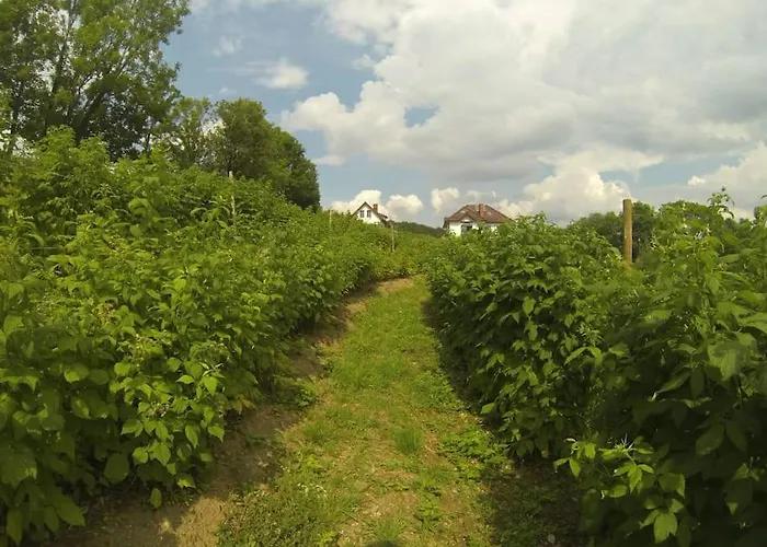 Holiday home Halinowka - Twoje Miejsce W Gorach Sowich