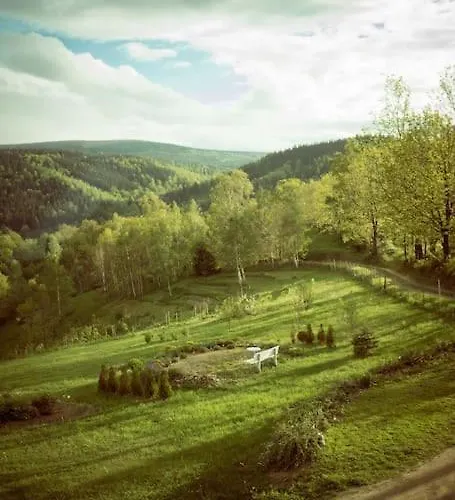 Halinowka - Twoje Miejsce W Gorach Sowich Holiday home *